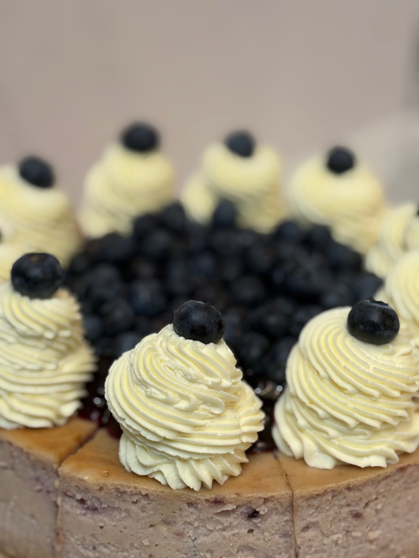 Spring Cheesecakes-10 inch